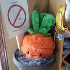 Kibakids - Comfort Food Carrot