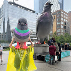 Kibakids - Massive Kibakids Pigeon