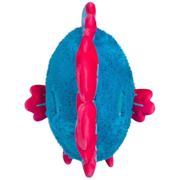 Kibakids - Mini Kibakids Betta Fish