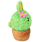 Kibakids - Mini Kibakids Bunny Cactus