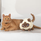 Kibakids - Mini Kibakids Colorpoint Kitty