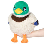 Kibakids - Mini Kibakids Mallard Duck