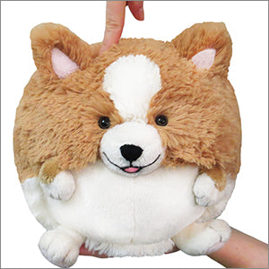 Kibakids - Mini Kibakids Corgi