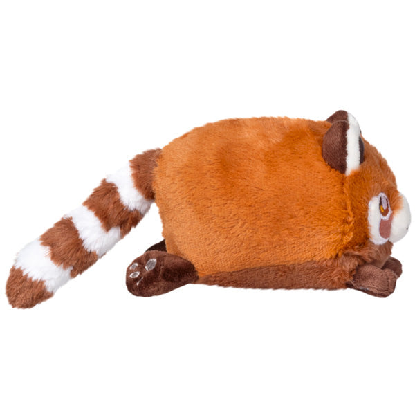Kibakids - Snacker Red Panda S1E1