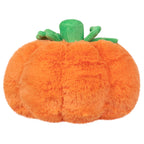 Kibakids - Snacker Pumpkin