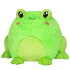 Kibakids - Kibakids Frog