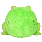 Kibakids - Kibakids Frog