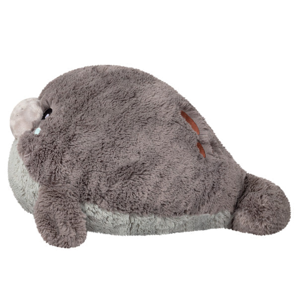 Kibakids - Kibakids Manatee