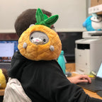 Kibakids - Undercover Kitty in Pineapple